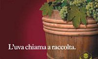 benvenuta_vendemmia_2012_news_interna