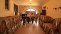 valpolicella winery visit