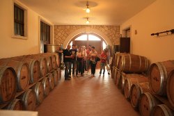 valpolicella winery visit