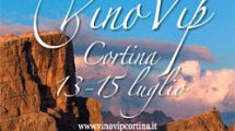 banner-VinoVip-2013