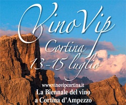 banner-VinoVip-2013