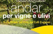 1andar per vigne