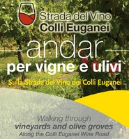 1andar per vigne