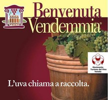 1vendemmia